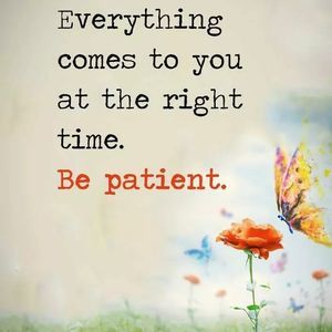 Meet your Posher, Rose